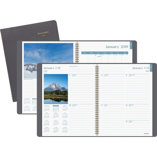 At-A-Glance DayMinder Scenic Weekly/Monthly Planner