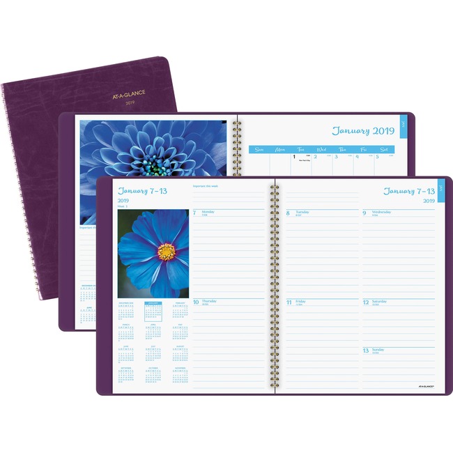 At-A-Glance DayMinder Floral Wkly/Mthly Planner