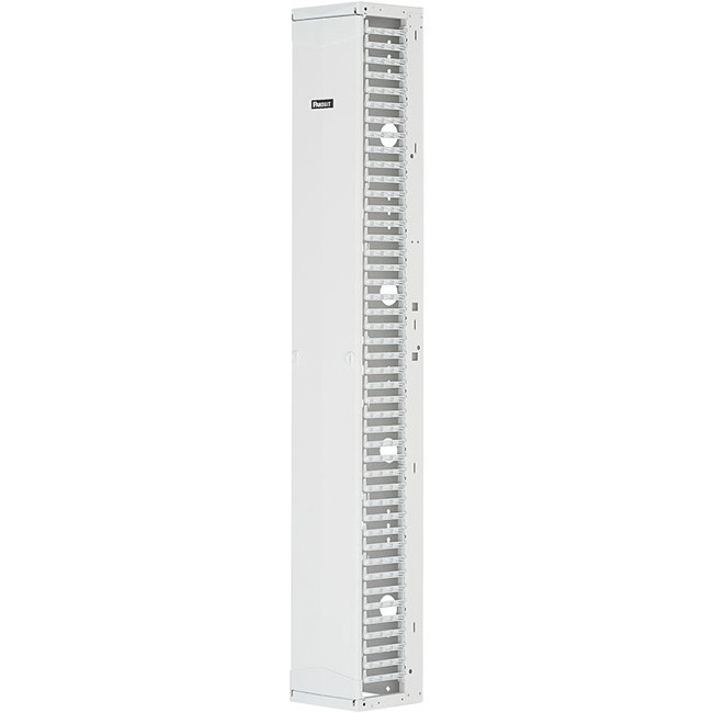 Panduit PR2VFD10WH Single Sided Manager
