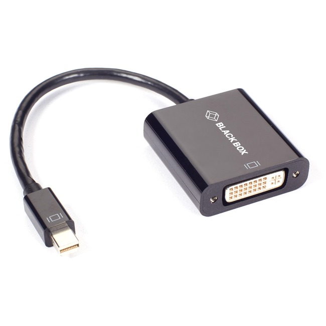 Black Box Mini Displayport/DVI-I Video Cable