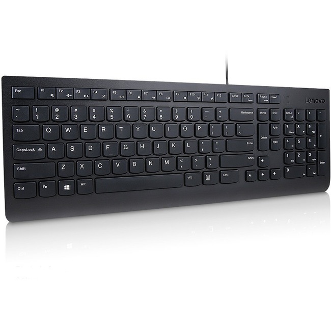 Lenovo Essential Wired Keyboard (Black) - French Canadian 058 - Cable ...