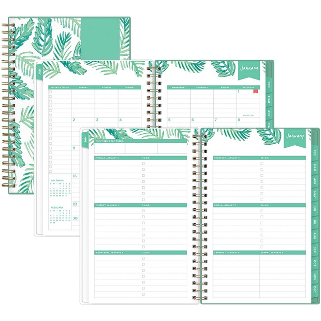 Day Designer Palms Weekly/Monthly Planner