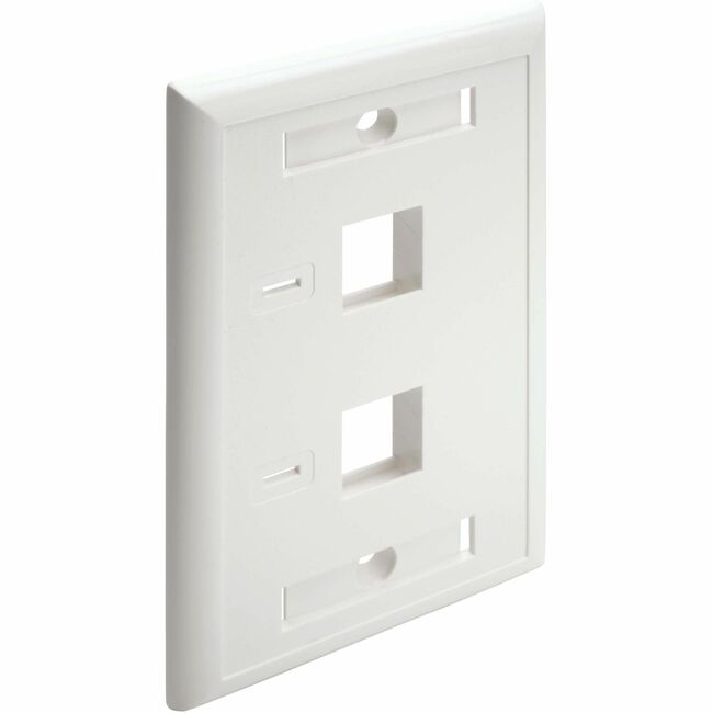 Tripp Lite 2-Port Keystone Faceplate, Single Gang, ID Labels, White, TAA