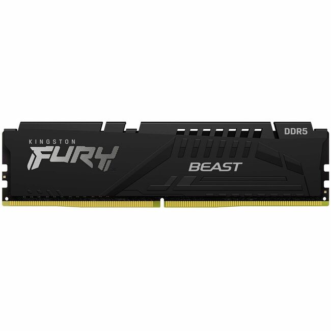 Kingston FURY Beast RAM Module