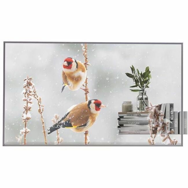 LG 55EW5P-M Digital Signage Display