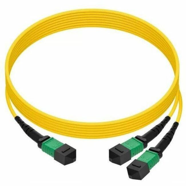 Axiom MPO/APC Female 2xMPO/APC Female Singlemode 9/125 Fiber Optic Cable - 3m