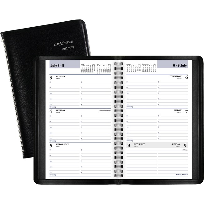 At-A-Glance DayMinder Academic Weekly Appointment Book