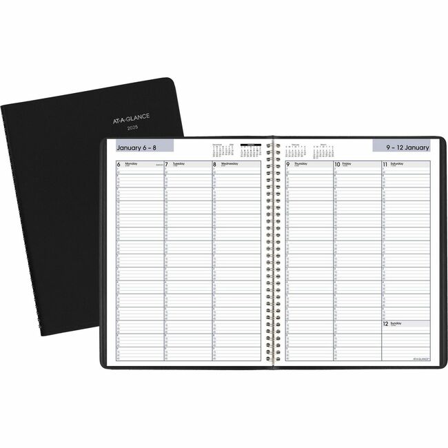 At-A-Glance DayMinder Weekly Appointment Book