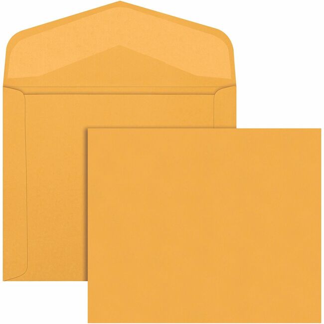 Quality Park Extra Heavyweight Document Envelopes