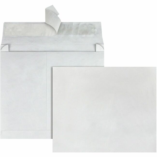 Quality Park Tyvek Heavyweight Expansion Envelopes