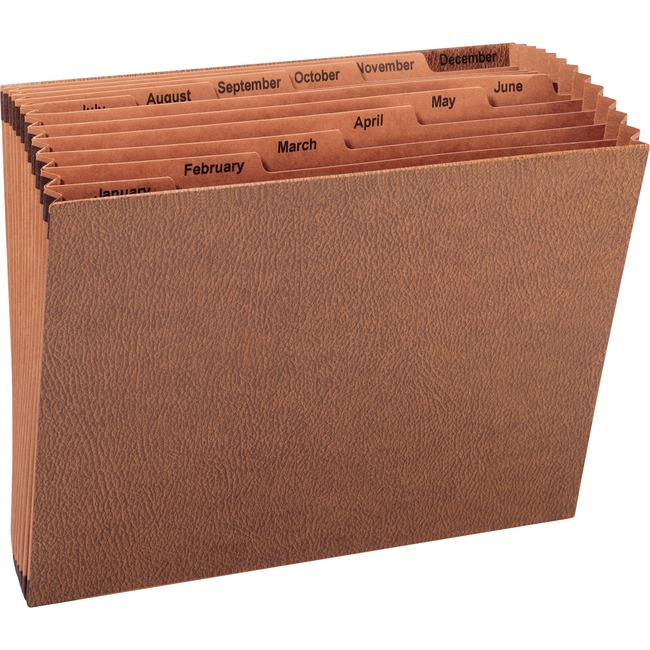 Sparco No Flap Heavy-Duty Accordion Files