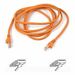 Belkin Network Patch Cable - RJ-45 Male - RJ-45 Male - 1ft - Orange