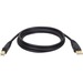 Eaton Tripp Lite Series USB 2.0 A to B Cable (M/M) - 10 ft. (3.05 m) - Type A Male USB - Type B Male USB - 10ft