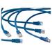 Exponent Microport Cat.5e Network Patch Cable - 7 ft Category 5e Network Cable for Network Device - First End: 1 x RJ-45 Male - Second End: 1 x RJ-45 Male - Patch Cable - Gold Plated Contact - Blue - 1 Each