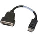 PNY DisplayPort to DVI Cable - DisplayPort/DVI Video Cable - 10"