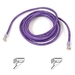 Belkin Cat5e Patch Cable - RJ-45 Male Network - RJ-45 Male Network - 7ft - Purple