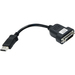 Matrox Digital Video Cable - DisplayPort Digital Video - DVI Digital Video