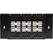 Black Box CAT6 Wallmount Patch Panel with Cover, 24-Port - 110 - 24 Port(s) - 24 x RJ-45 - Wall Mountable - TAA Compliant