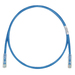 PANDUIT Cat.6 UTP Patch Cable - RJ-45 Male Network - RJ-45 Male Network - 25ft - Blue, Clear