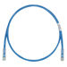 PANDUIT Cat.6 UTP Patch Cord - RJ-45 Male Network - RJ-45 Male Network - 2ft - Blue, Clear