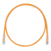 PANDUIT Cat.6 UTP Patch Cord - RJ-45 Male Network - RJ-45 Male Network - 6ft - Orange, Clear