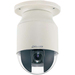 EverFocus EPTZ3100I Surveillance Camera - Color, Monochrome - 3.30 mm Zoom Lens - 30x Optical - CCD