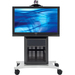 Avteq RPS-1000SE Display Stand - Up to 65" Screen Support - 300 lb Load Capacity - 1 x Shelf(ves) - 62" Height x 45" Width x 24" Depth - Powder Coated - Glass, Steel - Two-tone