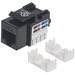 Intellinet Network Solutions Cat6 Keystone Jack, UTP, Punch-Down, Black - Compatible With 110 and Krone Punch-Down Tools