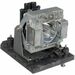BTI Replacement Lamp - 280 W Projector Lamp - 2000 Hour, 3000 Hour ECO