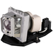 Optoma BL-FP240B P-VIP 240W Lamp - 240 W Projector Lamp - P-VIP - 3000 Hour, 6000 Hour Economy Mode