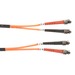 Black Box Fiber Optic Duplex Patch Network Cable - 3.20 ft Fiber Optic Network Cable for Transceiver, Switch, Server, Network Device - First End: 2 x ST Network - Male - Second End: 2 x ST Network - Male - 10 Gbit/s - Patch Cable - OFNR - 62.5/125 µ