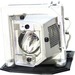 BTI Replacement Lamp - SANYO: POA-LMP138, 6103464633, ET-SLMP138, P8EM01GC01, PDG-DWL100, PDG-DXL100, PDG-DXL1000C, PDG-DXL100W