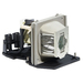 Total Micro Replacement Lamp - 260 W Projector Lamp - P-VIP - 2000 Hour, 2500 Hour Economy Mode