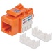 Intellinet Network Solutions Cat6 Keystone Jack, UTP, Punch-Down, Orange - Compatible With 110 and Krone Punch-Down Tools