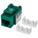 Intellinet Network Solutions Cat6 Keystone Jack, UTP, Punch-Down, Green - Compatible With 110 and Krone Punch-Down Tools