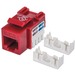 Intellinet Network Solutions Cat6 Keystone Jack, UTP, Punch-Down, Red - Compatible With 110 and Krone Punch-Down Tools