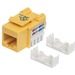 Intellinet Network Solutions Cat6 Keystone Jack, UTP, Punch-Down, Yellow - Compatible With 110 and Krone Punch-Down Tools