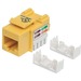 Intellinet Network Solutions Cat5e Keystone Jack, UTP, Punch-Down, Yellow - Compatible With 110 and Krone Punch-Down Tools