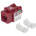 Intellinet Network Solutions Cat5e Keystone Jack, UTP, Punch-Down, Red - Compatible With 110 and Krone Punch-Down Tools