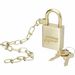 SKILCRAFT Solid Brass Case Padlock with Chain - Keyed Different - Solid Brass - Brass - 5 / Set