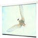 Draper Targa 94" Electric Projection Screen - Front Projection - 16:9 - Contrast Grey XH800E - 62" x 83.5" - Ceiling Mount