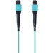 Belkin MTP to MTP MPO Fiber Optic Cable, 40GbE Aqua MTP/MTP, 50/125, OM3, Plenum - 3.28 ft Fiber Optic Network Cable for Network Device - First End: 1 x MTP/MPO Network - Male - Second End: 1 x MTP/MPO Network - Male - 40 Gbit/s - Patch Cable - 50/125 &mi