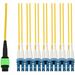 AddOn 30m MPO/APC to 6xLC Duplex (12xLC)/UPC Yellow OS2 OFNR (Riser-Rated) 12-Strand SMF Fiber Fanout Cable - 98.43 ft Fiber Optic Network Cable for Network Device - First End: 2 x MPO-12 Network - Female - Second End: 6 x LC Network - Male - Fan-out Cabl