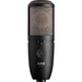 AKG P420 Wired Condenser Microphone - 20 Hz to 20 kHz - 200 Ohm - 15.5 B - Cardioid, Omni-directional - Handheld - XLR