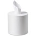 Esteem 2-Ply Centre Pull Paper Towels - 2 Ply - White - Center Pull - 3600 / Carton