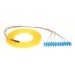 Black Box OS1 Single-Mode Fiber Optic Pigtail, 12-Strand, SC, Yellow, 3-m (9.8-ft) - 9.80 ft Fiber Optic Network Cable for Network Device - First End: 1 x Pigtail - Second End: 12 x SC Network - Male - Yellow