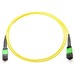 Axiom MPO Female to MPO Female Singlemode 9/125 Fiber Optic Cable - 20m - Fiber Optic for Network Device - 65.62 ft - 2 x MPO Female Network - 2 x MPO Female Network - 9/125 µm - Yellow