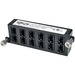 Tripp Lite 100Gb / 120Gb Pass-Through Cassette 12 24-Fiber MTP / MPO - (x12) 24-Fiber MTP/MPO