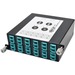 Tripp Lite 40G to 10G Breakout Cassette 2 12-Fiber MTP/MPO to 12 LC Duplex - 12 x LC Duplex, 2 x MTP - 14 Port(s) - 14 x RJ-11 - 12 x Duplex - 2 x MT Port(s)"
