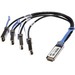 Netpatibles 10202-NP 1QSFP/SFP+ Network Cable - 3.28 ft QSFP/SFP+ Network Cable for Network Device - First End: 1 x QSFP Network - Second End: 4 x SFP+ Network - 40 Gbit/s